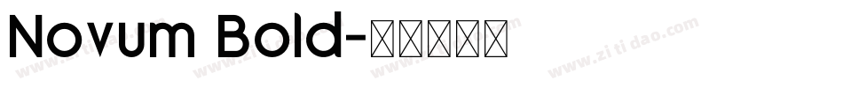Novum Bold字体转换